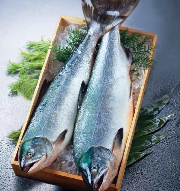 冷凍白鮭