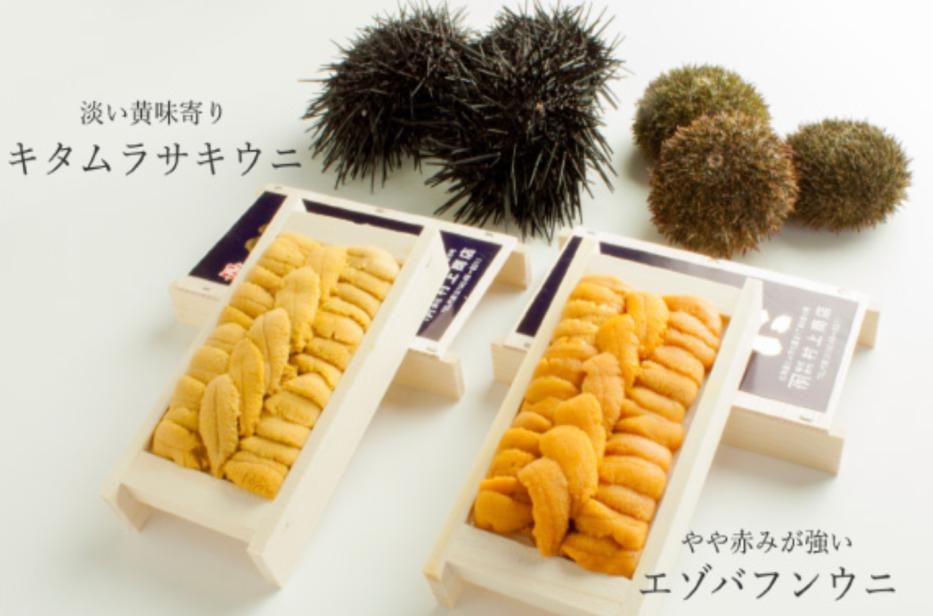 木箱ウニ