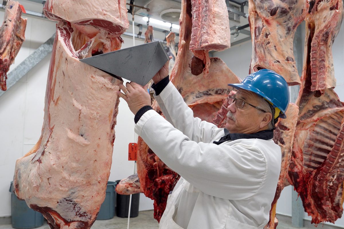 冷蔵庫に吊るされた牛の枝肉