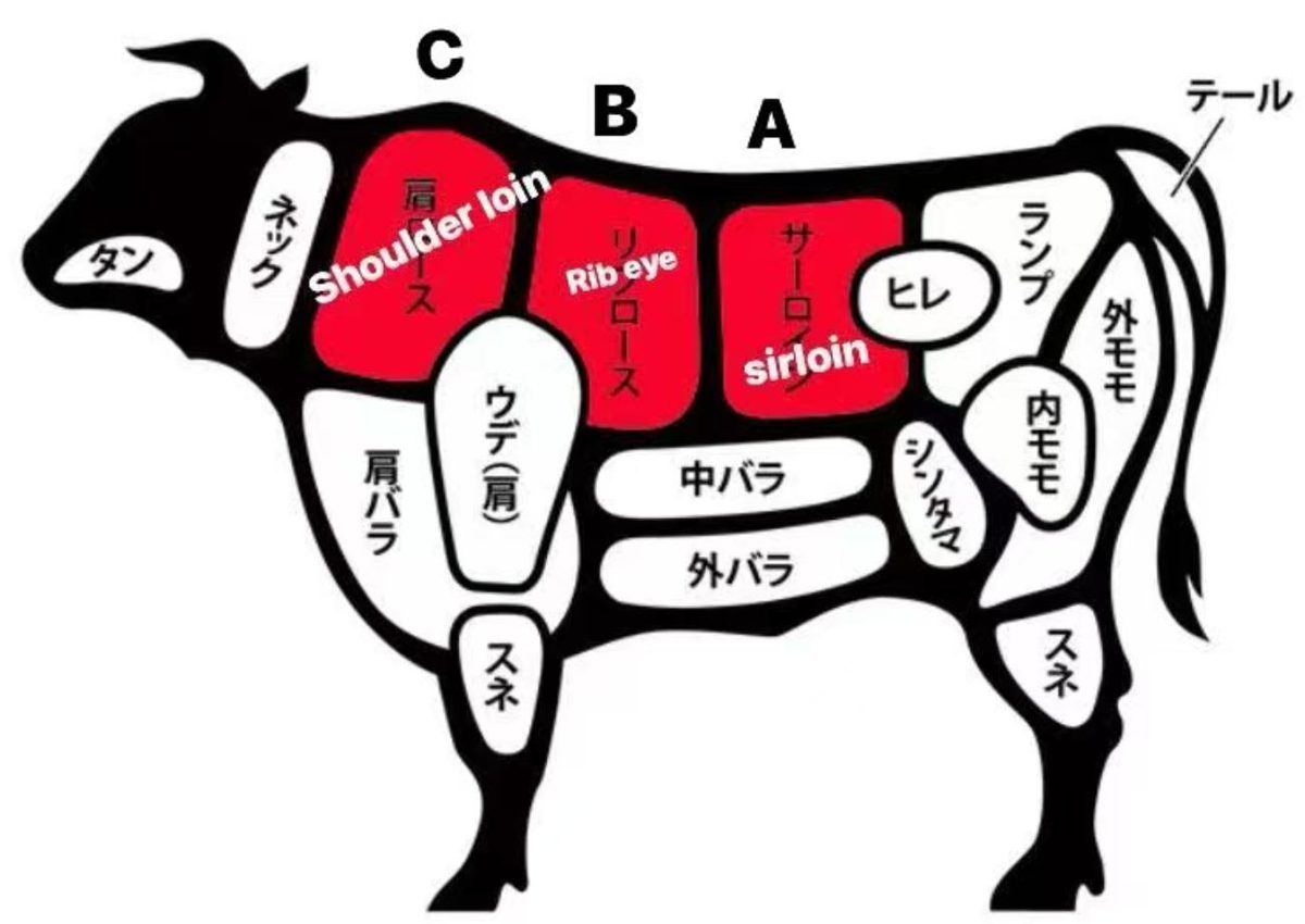 牛の部位図。A:サーロイン、B:リブアイ（リブロース）、C:肩ロース